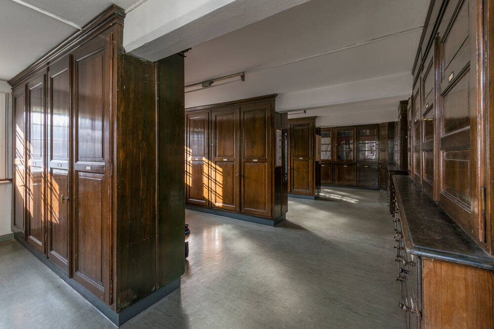 Die Historische Farbstoffsammlung